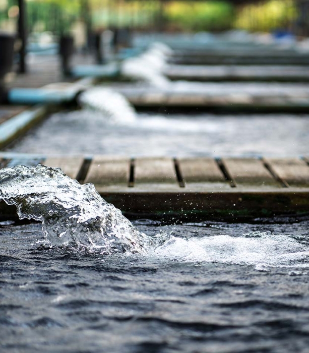 INFRASTRUCTURE_Rainwater Harvestin